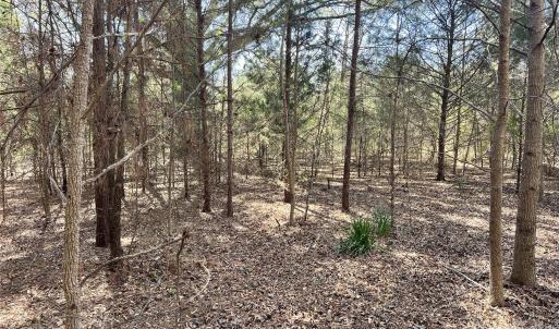 Photo #24 of 8334 Victoria Lake, Waxhaw, NC