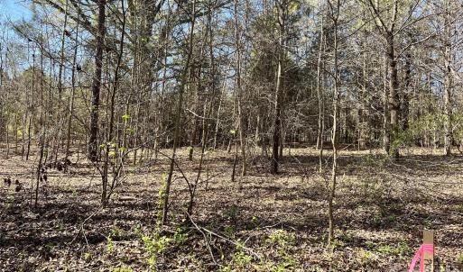 Photo #11 of 8334 Victoria Lake, Waxhaw, NC