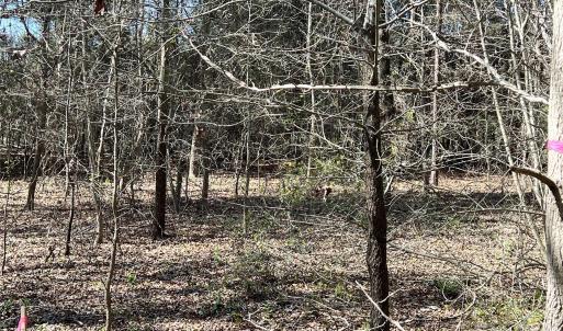 Photo #18 of 8334 Victoria Lake, Waxhaw, NC