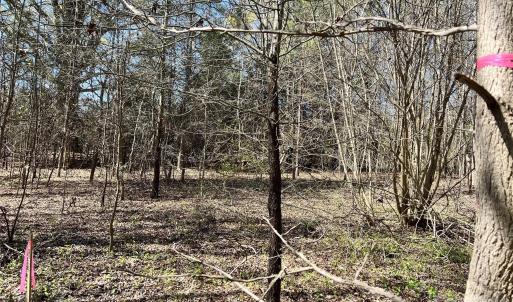 Photo #12 of 8334 Victoria Lake, Waxhaw, NC