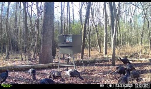 Photo #4 of Coldstream, Heath Springs, SC