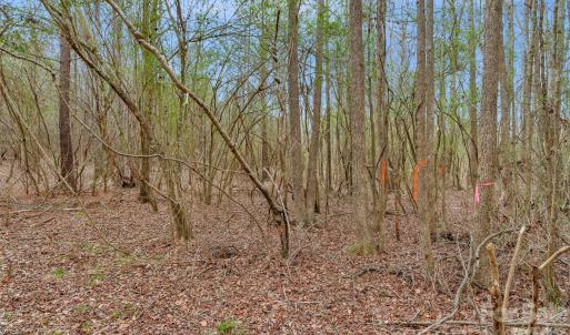 Photo #23 of Coldstream, Heath Springs, SC