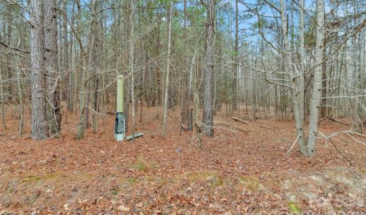 Photo #28 of Coldstream, Heath Springs, SC