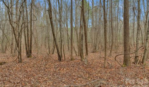 Photo #27 of Coldstream, Heath Springs, SC