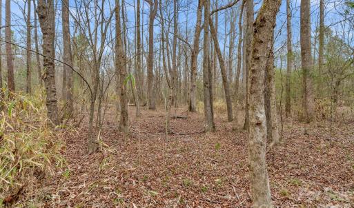 Photo #16 of Coldstream, Heath Springs, SC