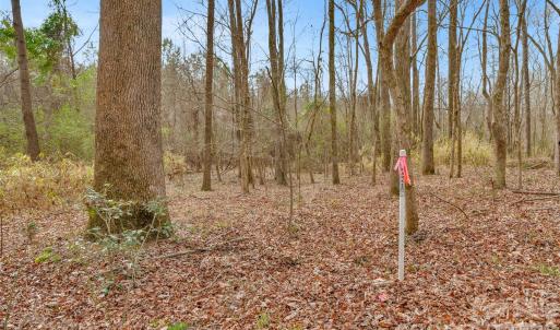 Photo #20 of Coldstream, Heath Springs, SC