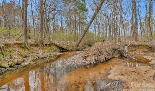 Photo #13 of Coldstream, Heath Springs, SC