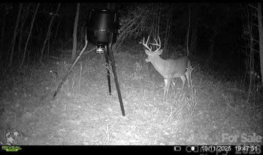 Photo #8 of Coldstream, Heath Springs, SC