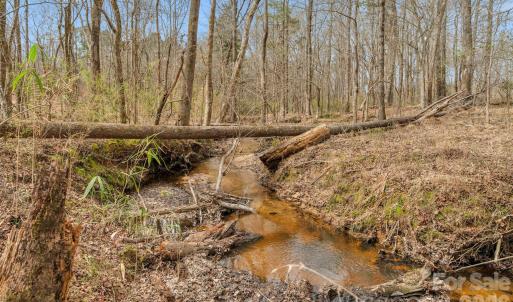 Photo #11 of Coldstream, Heath Springs, SC