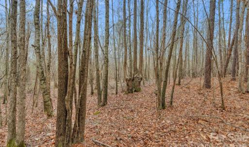 Photo #26 of Coldstream, Heath Springs, SC