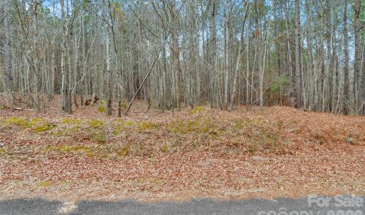 Photo #29 of Coldstream, Heath Springs, SC