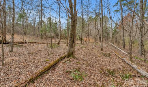 Photo #17 of Coldstream, Heath Springs, SC