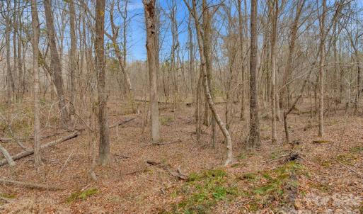 Photo #19 of Coldstream, Heath Springs, SC