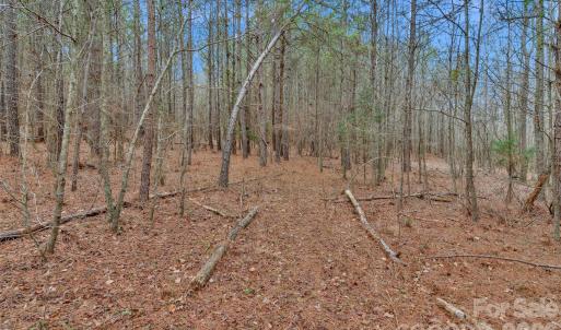 Photo #30 of Coldstream, Heath Springs, SC