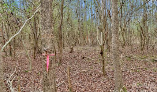 Photo #25 of Coldstream, Heath Springs, SC