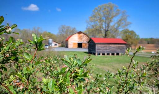 Photo #34 of 32286 Laton, Albemarle, NC