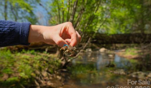 Photo #37 of 32286 Laton, Albemarle, NC
