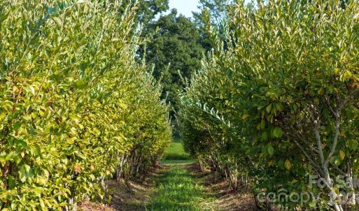 Photo #4 of 32286 Laton, Albemarle, NC