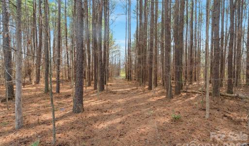 Photo #29 of Horace Price, Pageland, SC