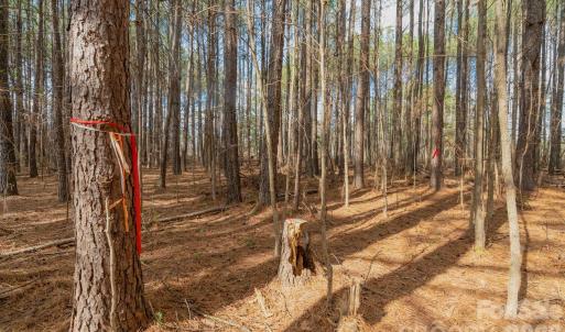 Photo #24 of Horace Price, Pageland, SC