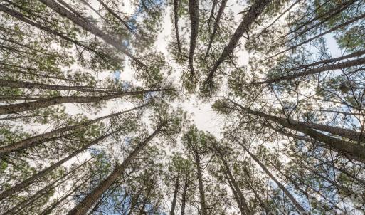 Photo #4 of Horace Price, Pageland, SC