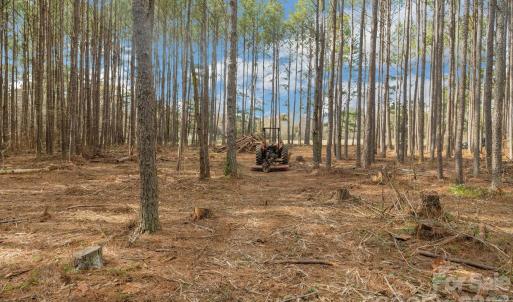 Photo #26 of Horace Price, Pageland, SC