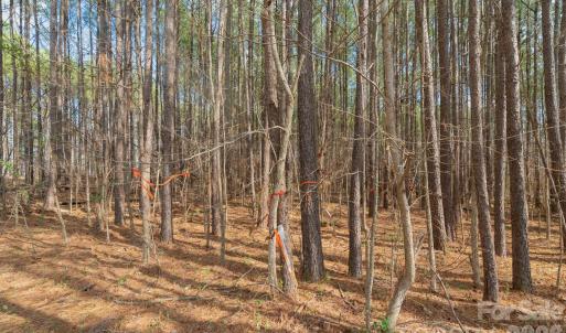 Photo #18 of Horace Price, Pageland, SC