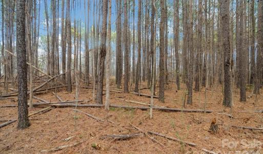 Photo #20 of Horace Price, Pageland, SC