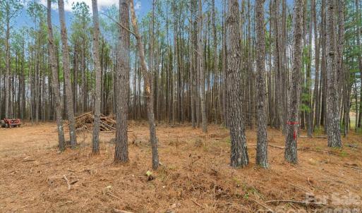 Photo #17 of Horace Price, Pageland, SC