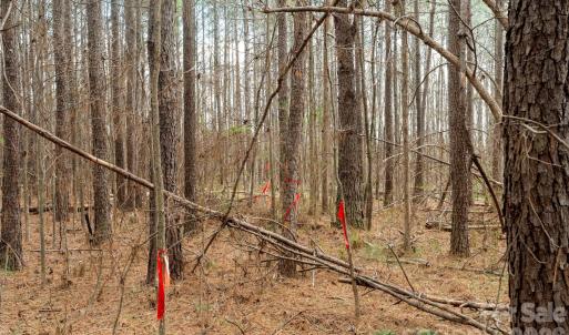 Photo #21 of Horace Price, Pageland, SC