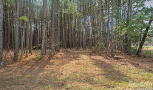 Photo #16 of Horace Price, Pageland, SC