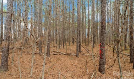 Photo #19 of Horace Price, Pageland, SC