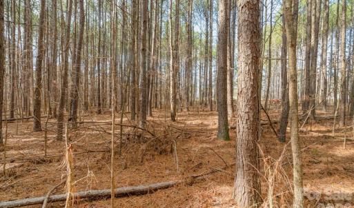 Photo #25 of Horace Price, Pageland, SC