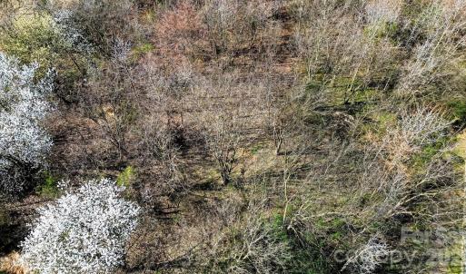 Photo #10 of Edwards Farm, Monroe, NC