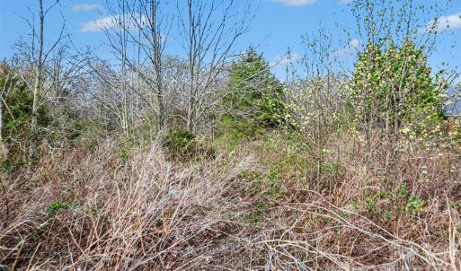 Photo #4 of Edwards Farm, Monroe, NC