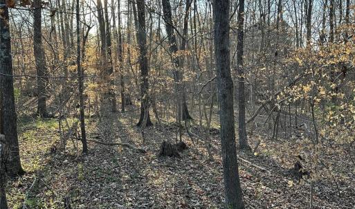 Photo #1 of 5885 Crayton, Mount Pleasant, NC