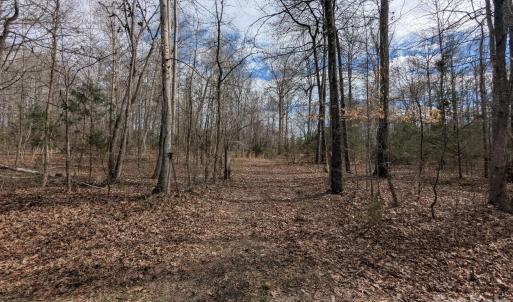 Photo #1 of 5.66 acres Diane, York, SC