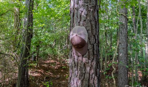 Photo #12 of 4794 Cauble, Mount Pleasant, NC