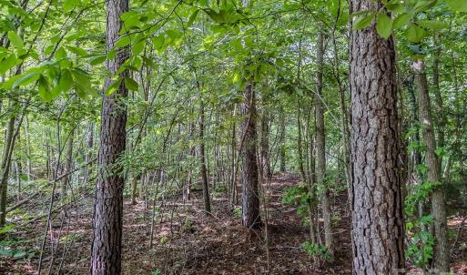 Photo #13 of 4794 Cauble, Mount Pleasant, NC