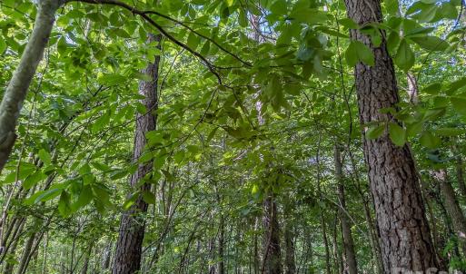 Photo #15 of 4794 Cauble, Mount Pleasant, NC