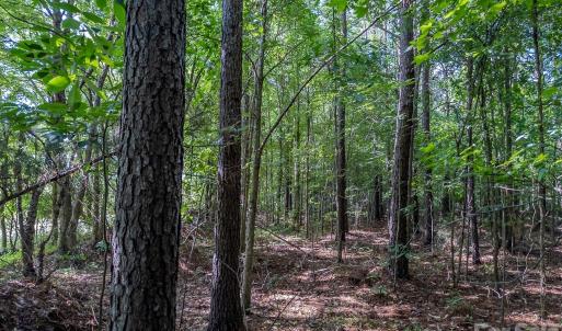 Photo #16 of 4794 Cauble, Mount Pleasant, NC