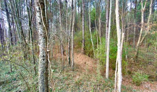 Photo #10 of 4794 Cauble, Mount Pleasant, NC