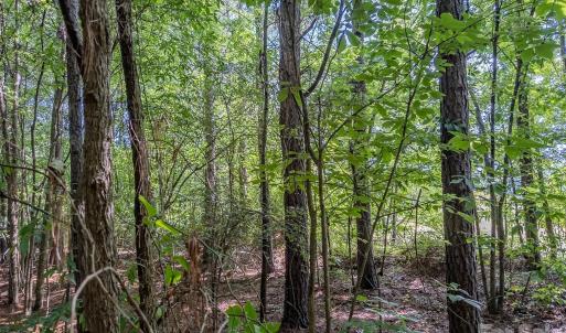 Photo #14 of 4794 Cauble, Mount Pleasant, NC
