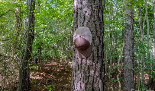 Photo #12 of 4794 Cauble, Mount Pleasant, NC