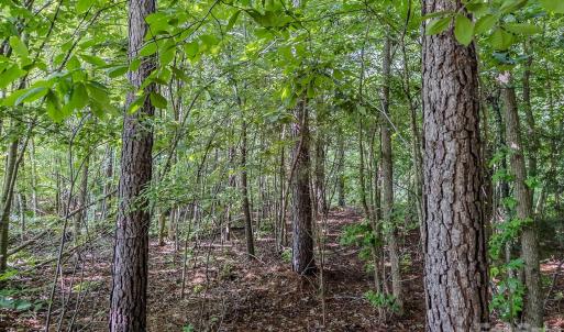 Photo #13 of 4794 Cauble, Mount Pleasant, NC