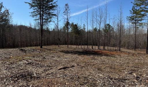 Photo #5 of 5700 Bentley Ridge, Davidson, NC