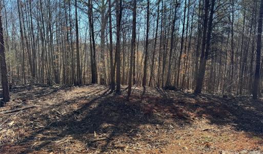 Photo #4 of 5700 Bentley Ridge, Davidson, NC