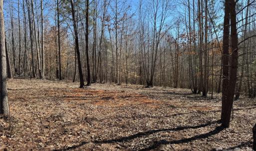 Photo #16 of 5700 Bentley Ridge, Davidson, NC