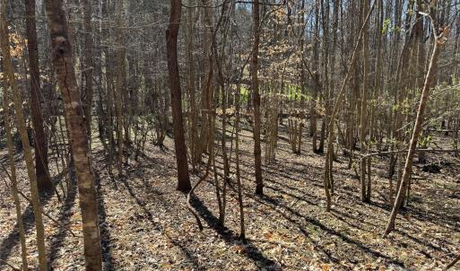 Photo #11 of 5700 Bentley Ridge, Davidson, NC