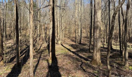 Photo #13 of 5700 Bentley Ridge, Davidson, NC